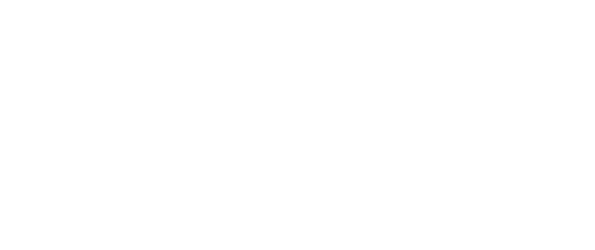 BF2025 logo_compact_rev